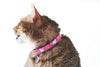Fat Cat Collar
