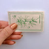 Botanical Rolling Papers